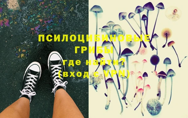 кокс Бородино