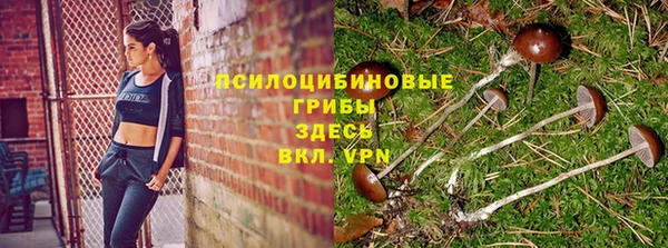 синтетический гашиш Бронницы